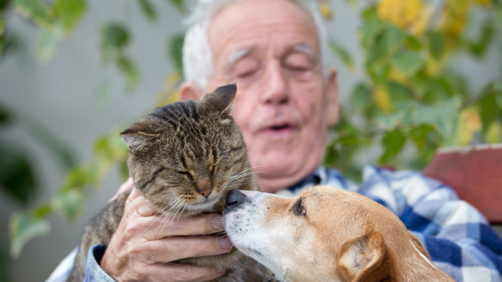 man with cat and dog