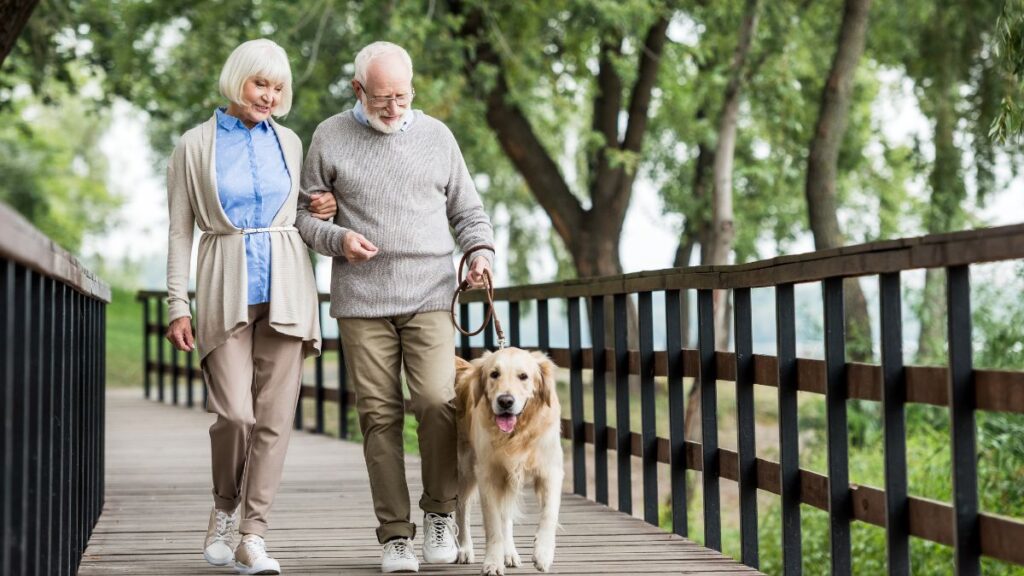 older couple walking their dog