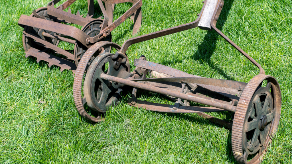 rotary lawnmower