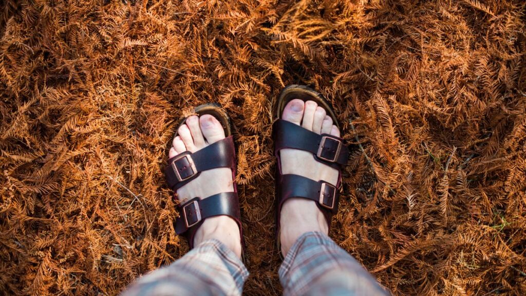 Birkenstock Sandals