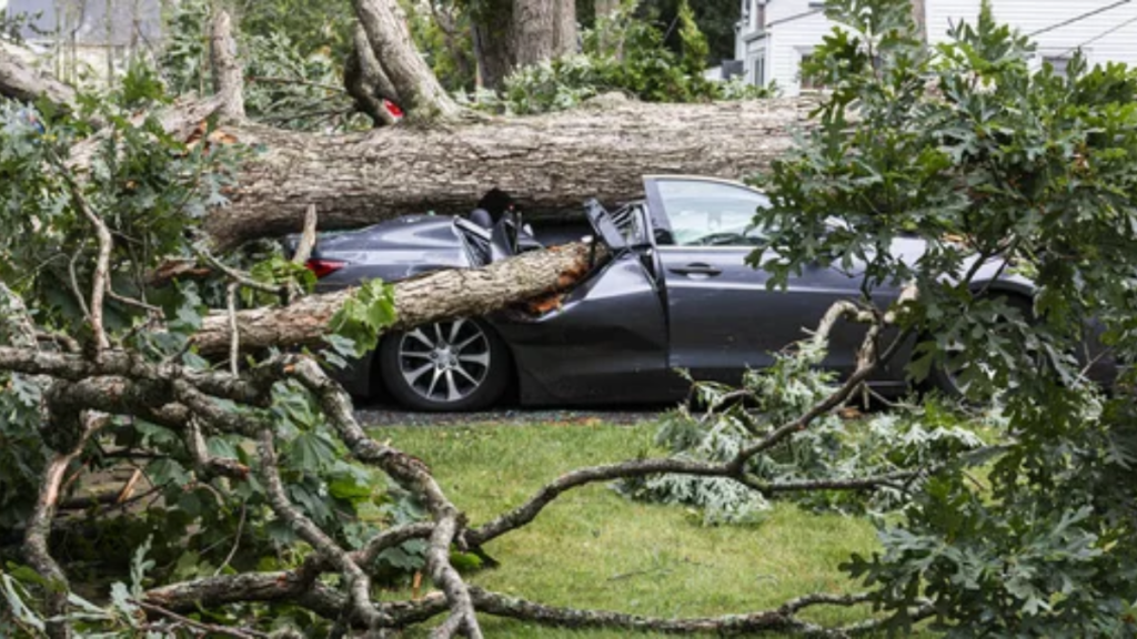 Car Tree