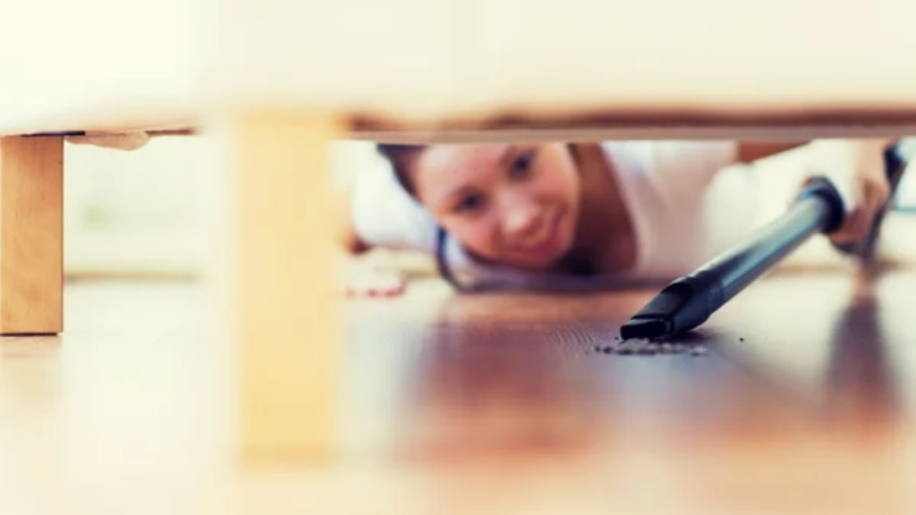 Cleaning Under Couch