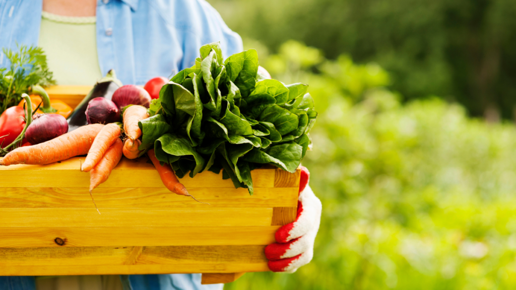 Gardening Food