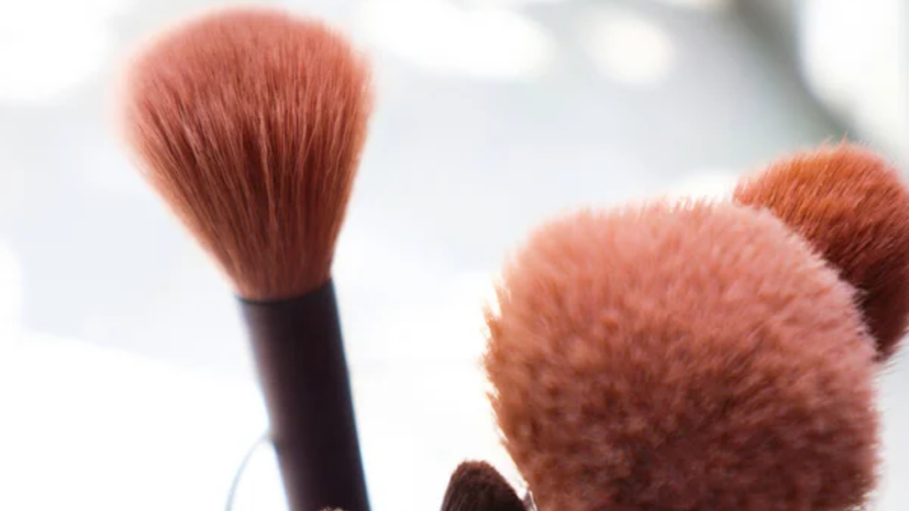 Makeup Brushes