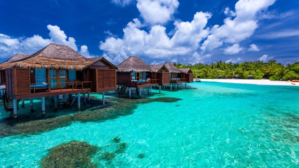 Maldives
