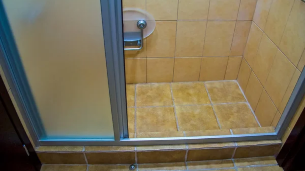 Shower Door