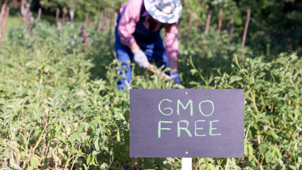 gmo free sign