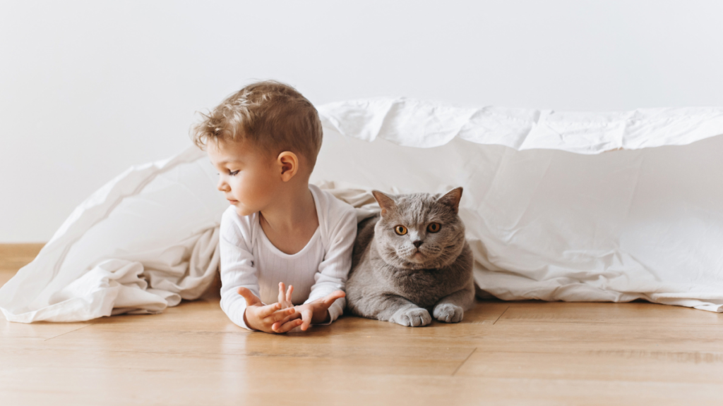 kid with cat