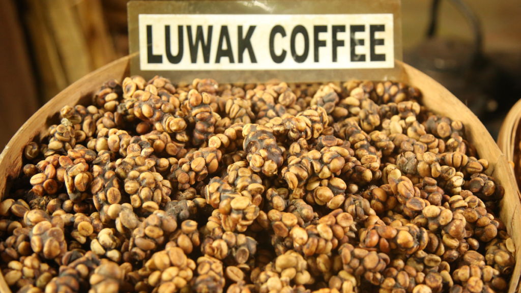 luwak coffee