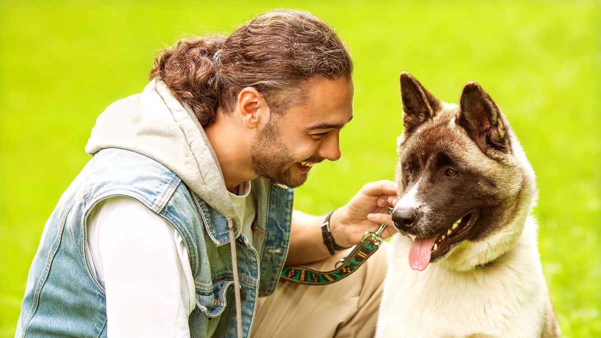 man happy with akita