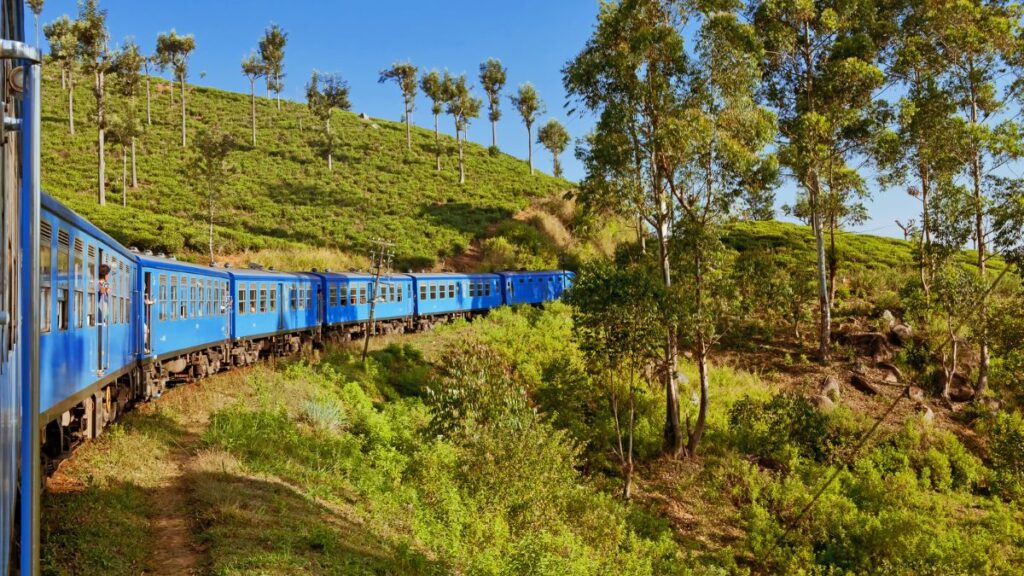 scenic train ride