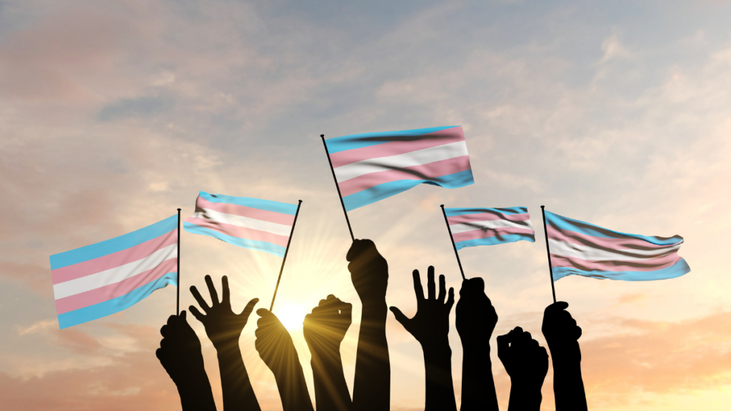 transgender flags