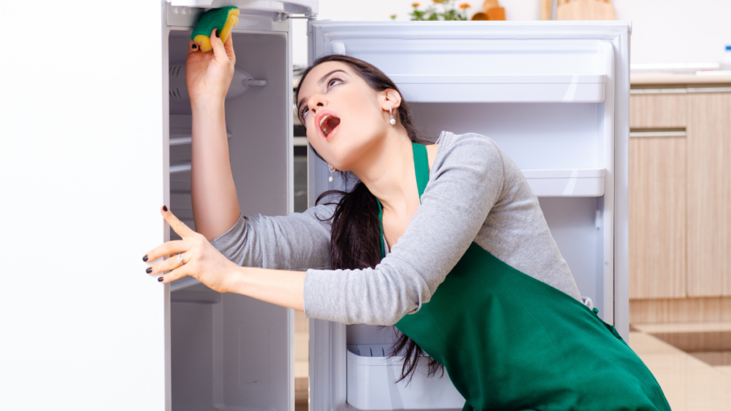 woman cleaning fridge