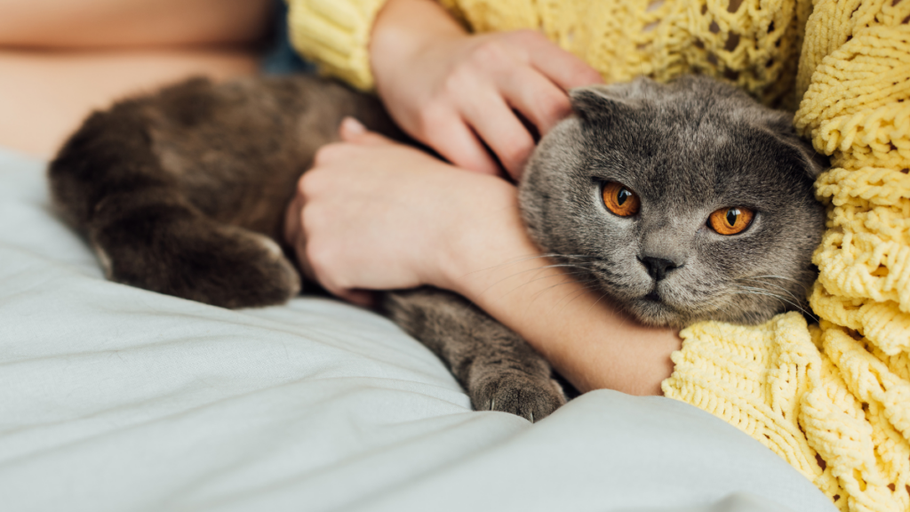 woman with cat