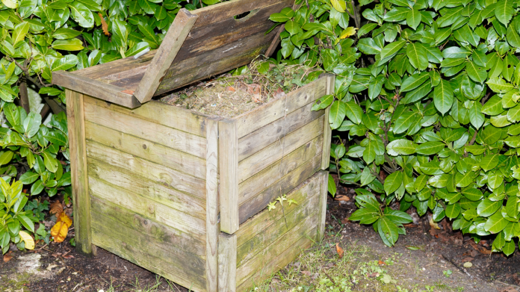 Compost Bin