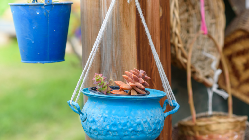 DIY Plants Hanging Pots