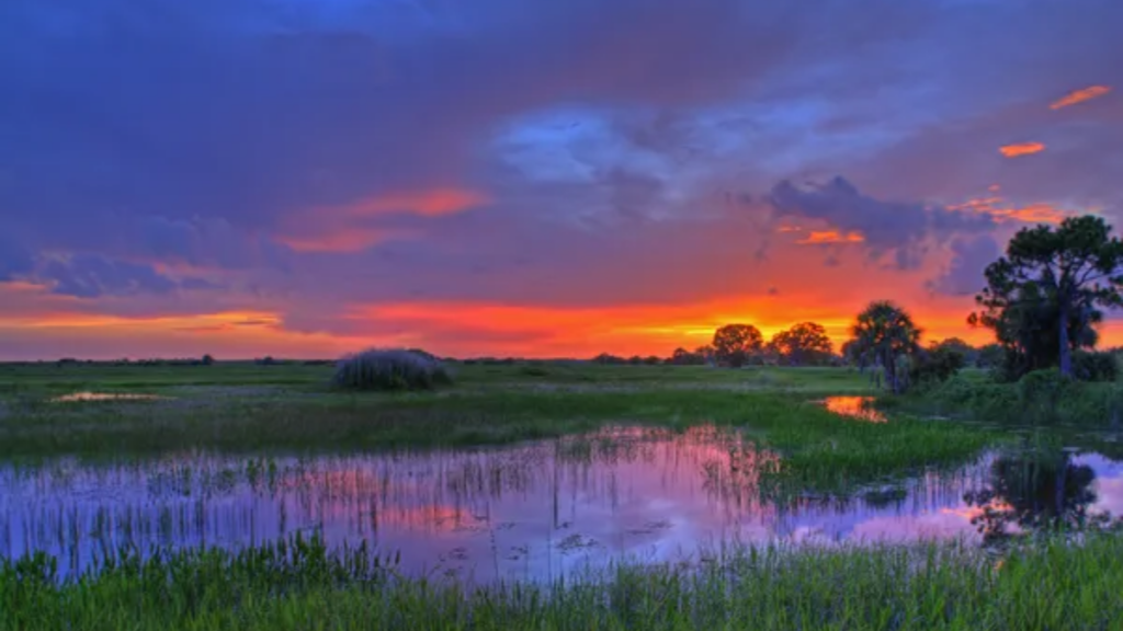 Everglades National Park