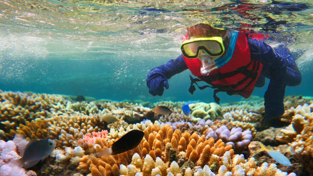 Great Barrier Reef, Australia