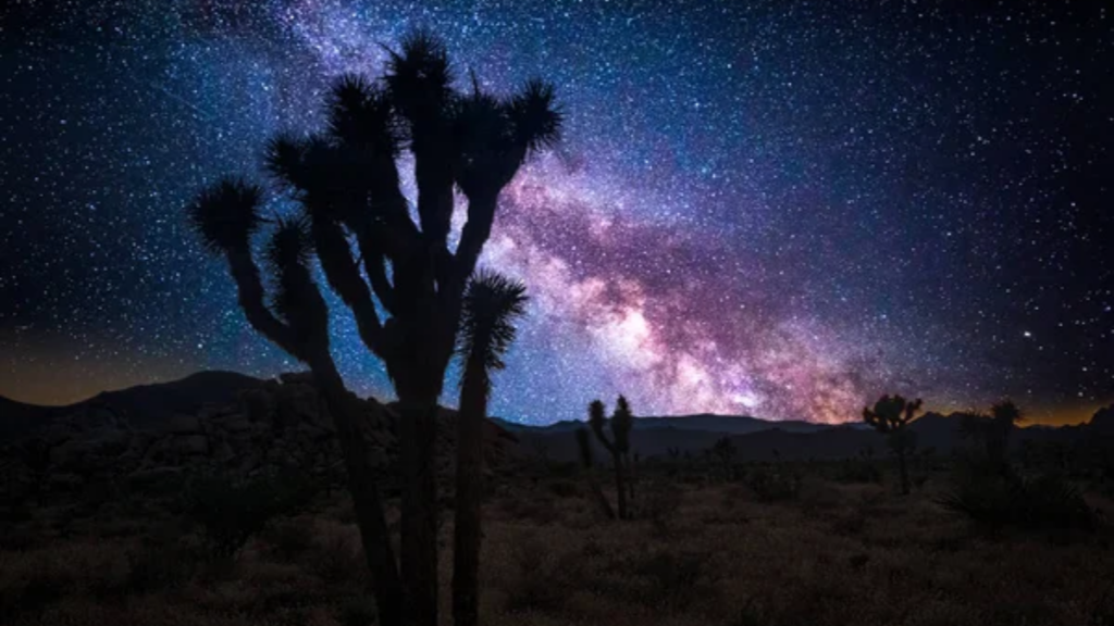 Joshua Tree National Park