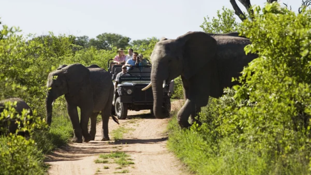 Kruger National Park South Africa