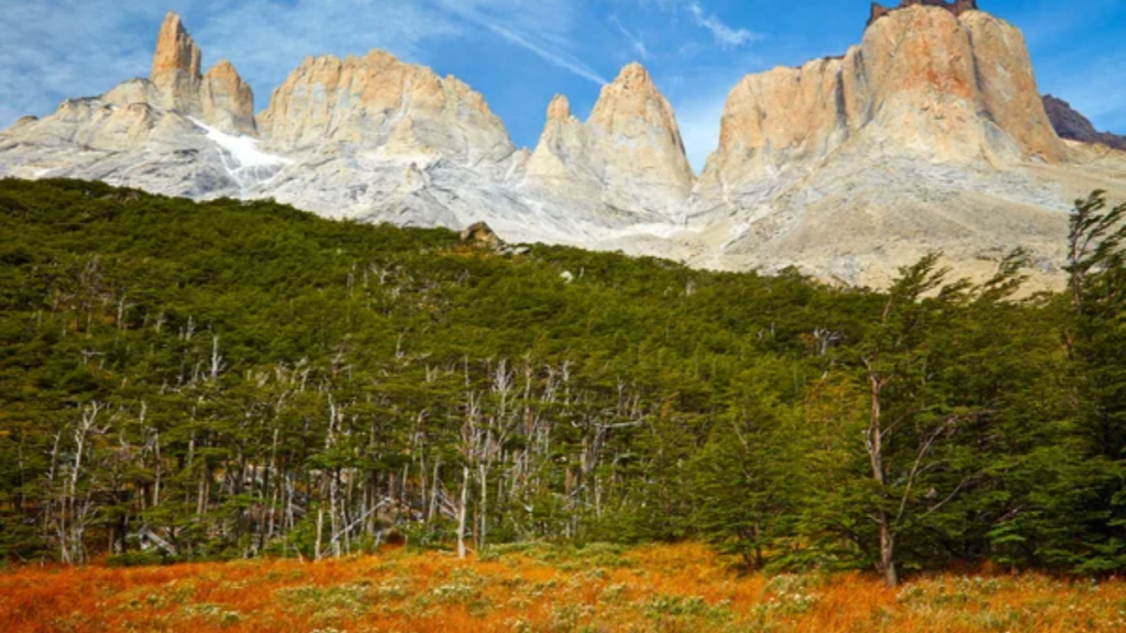 Torres del Paine National Park Chile