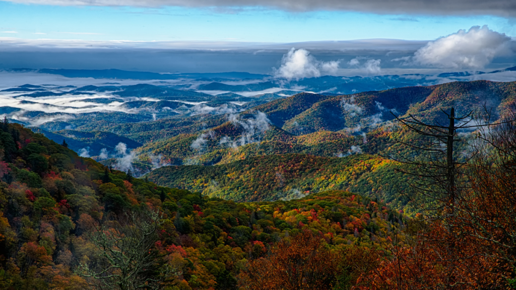 blue ridge parkway