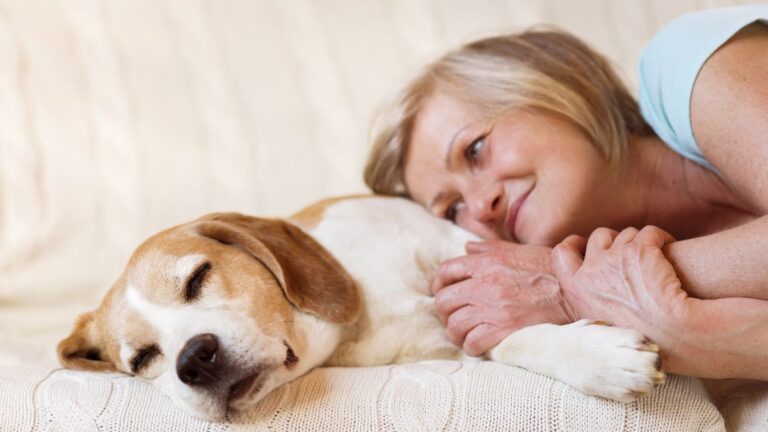 15 Tips To Help You Care For Pets During Retirement