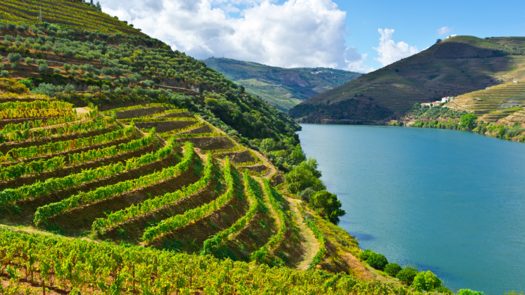 Douro Valley, Portugal