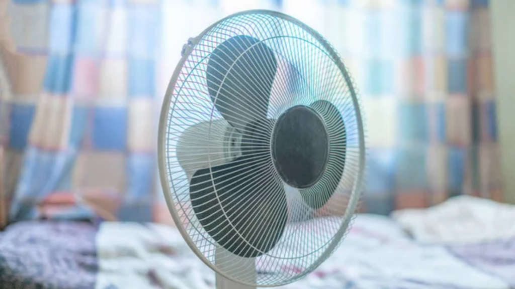 Fan