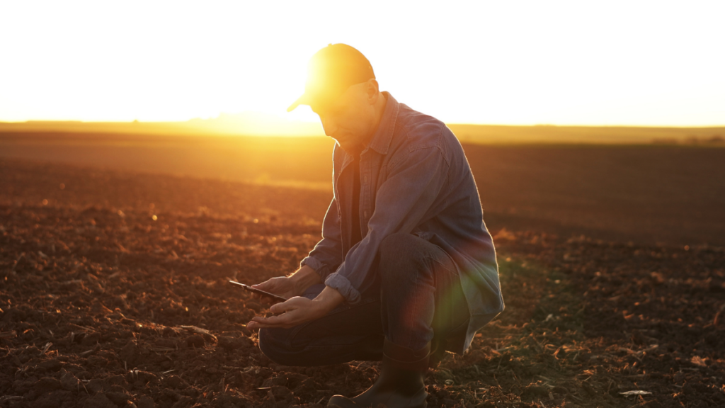 Farmer Morning Job