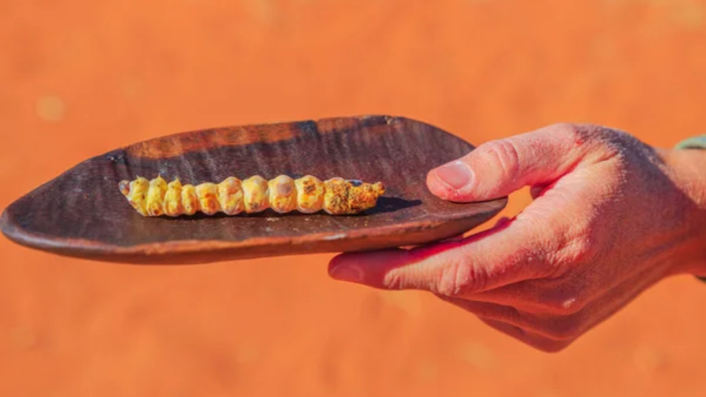 Food Witchetty Grub