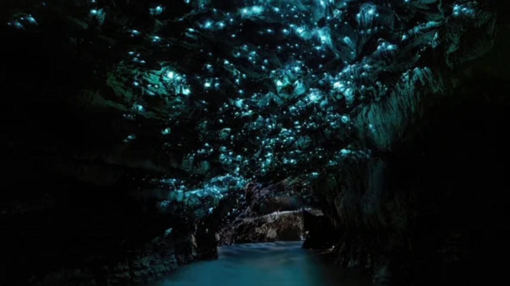 Glowworm Cave