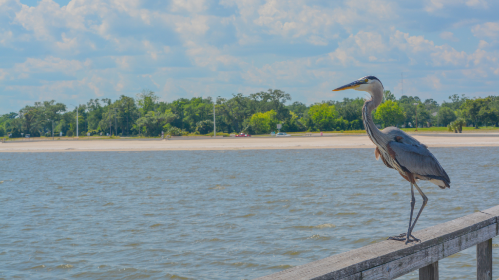 Gulfport, Mississippi