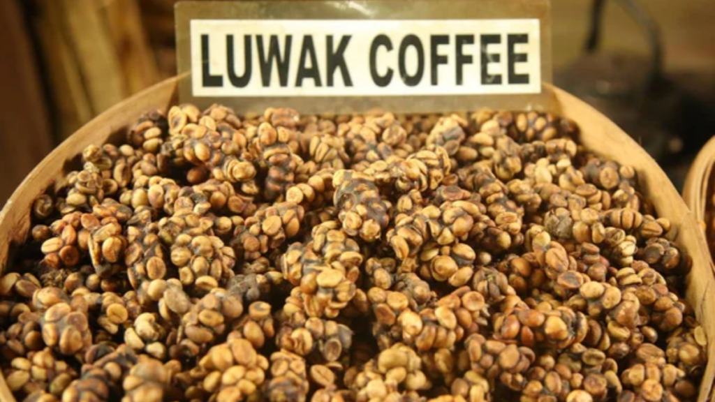 Kopi Luwak Coffee