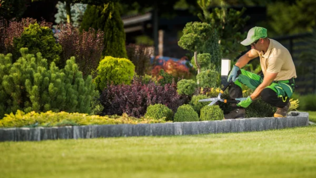 Landscaping Garden