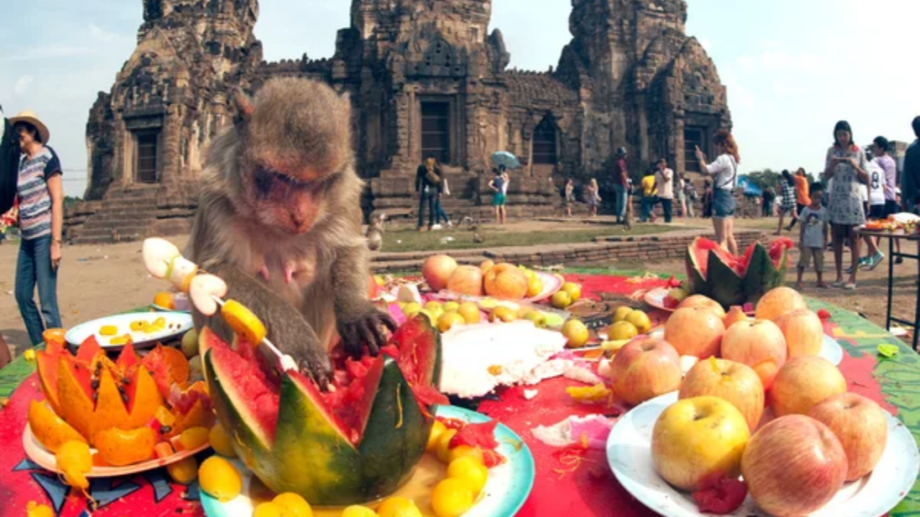 Monkey Buffet Festival Thailand