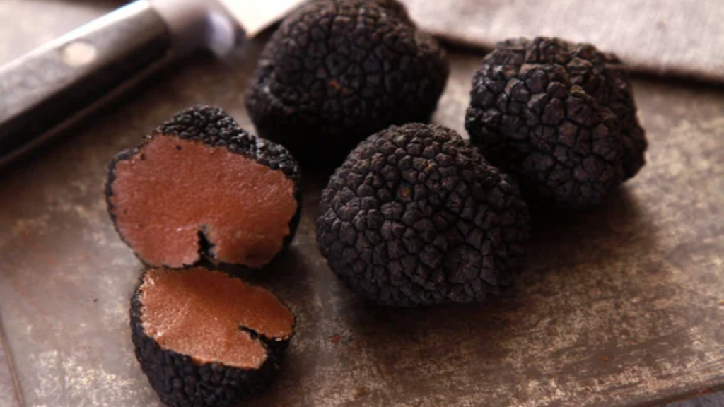 Périgord Truffles