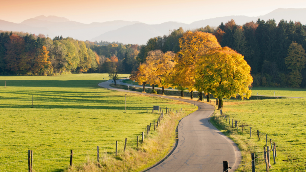 Winding Country Road