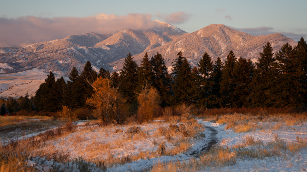 bozeman montana