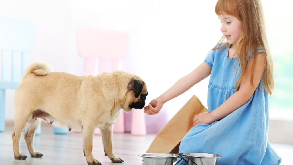 kid feeding pet