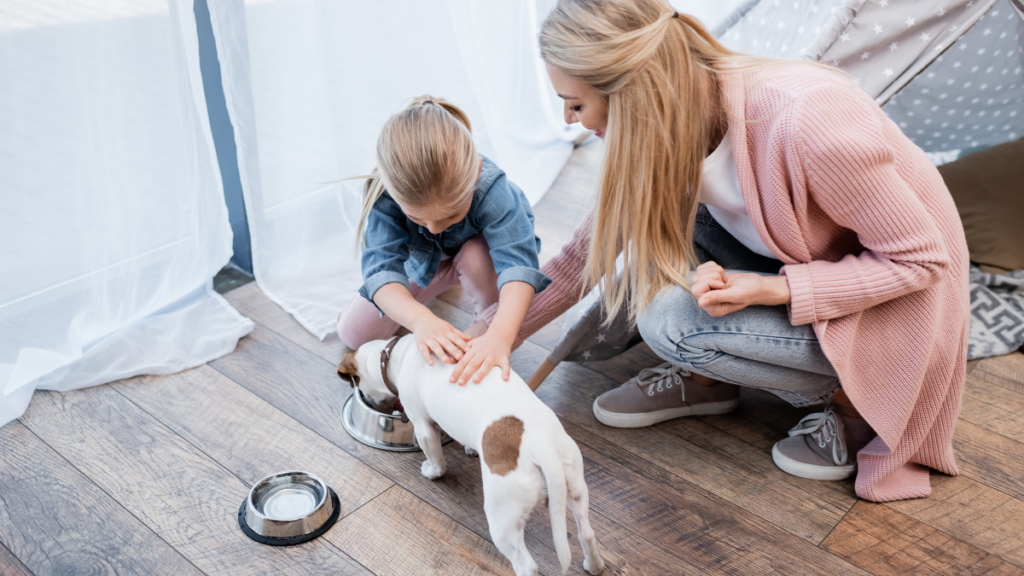 Child Feeding Dog