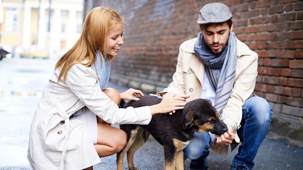 woman and man petting a dog in the street